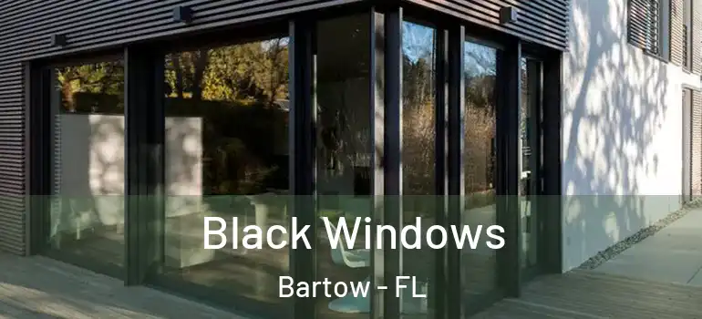 Black Windows Bartow - FL