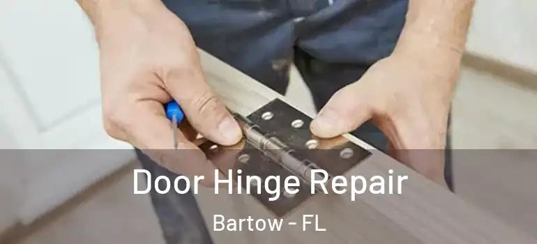 Door Hinge Repair Bartow - FL