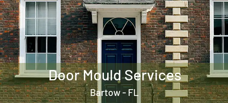 Door Mould Services Bartow - FL
