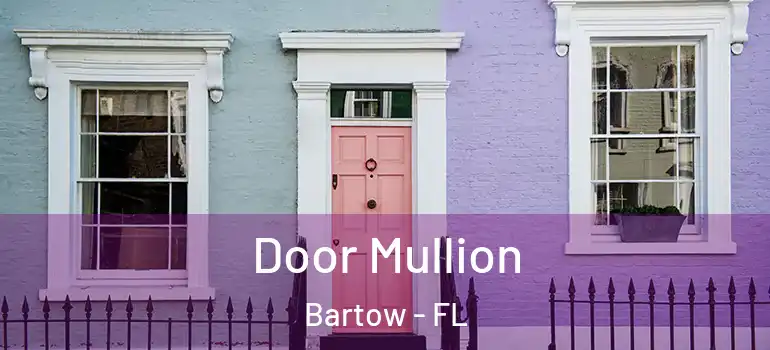 Door Mullion Bartow - FL