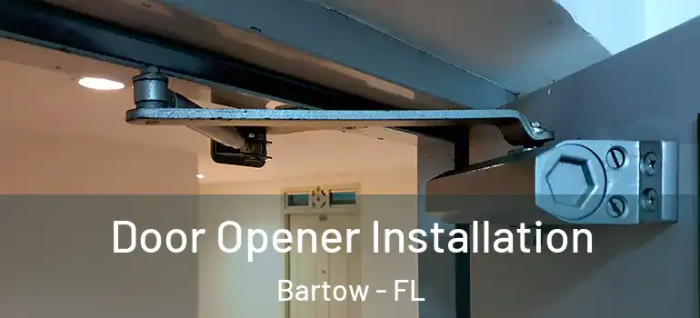 Door Opener Installation Bartow - FL