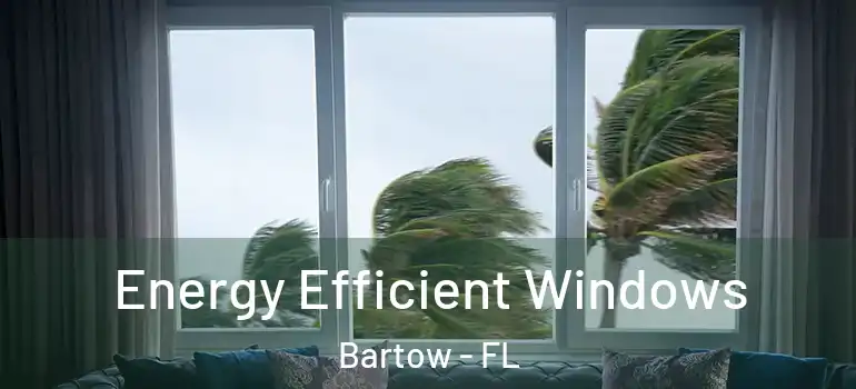 Energy Efficient Windows Bartow - FL