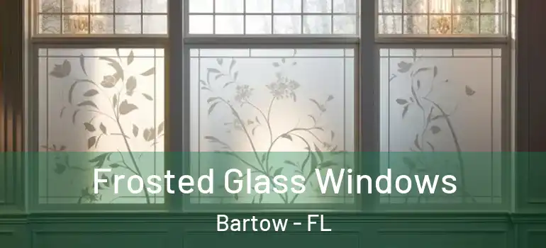 Frosted Glass Windows Bartow - FL