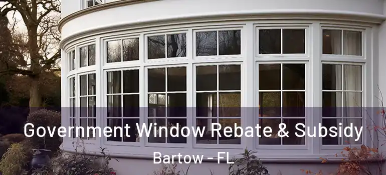 Government Window Rebate & Subsidy Bartow - FL