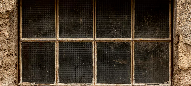Traditional Double Front Doors in Bartow, FL