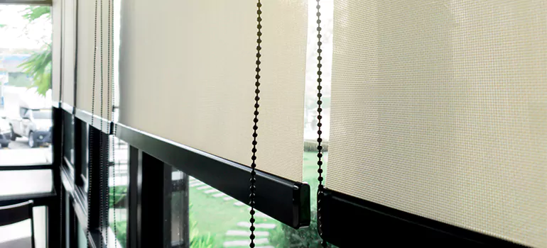 Blackout Window Shades in Bartow, FL