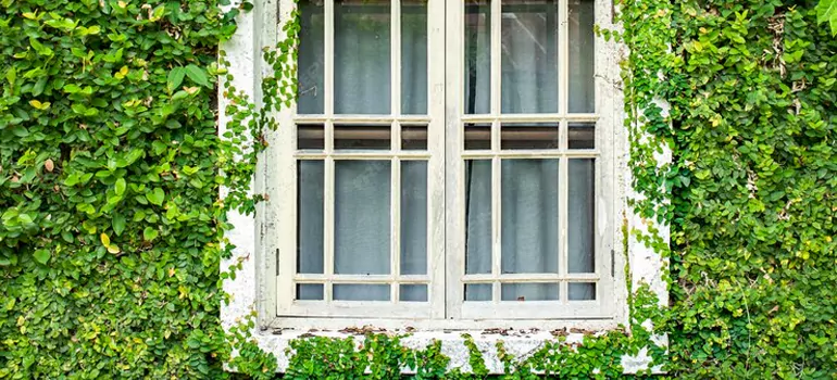 Garden Window Repair Near Me in Bartow, FL
