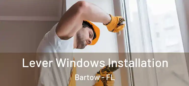 Lever Windows Installation Bartow - FL
