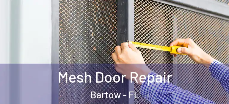 Mesh Door Repair Bartow - FL