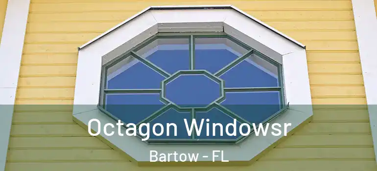 Octagon Windowsr Bartow - FL