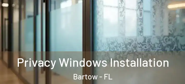 Privacy Windows Installation Bartow - FL