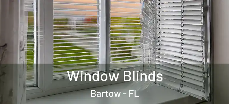 Window Blinds Bartow - FL