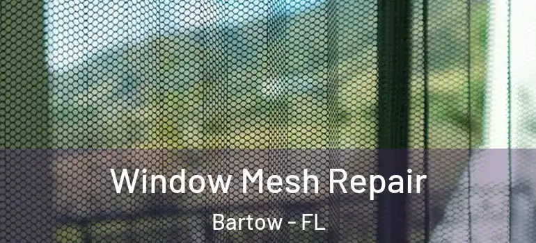 Window Mesh Repair Bartow - FL
