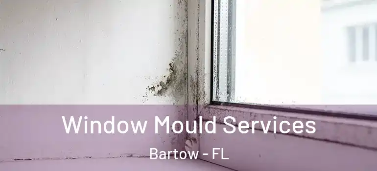 Window Mould Services Bartow - FL