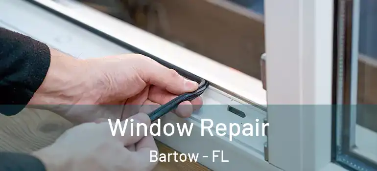 Window Repair Bartow - FL