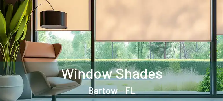 Window Shades Bartow - FL